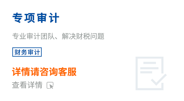 專(zhuān)項(xiàng)審計(jì)